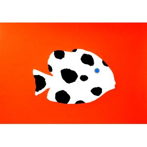 Dalmatian fish / Dalmatinska riba