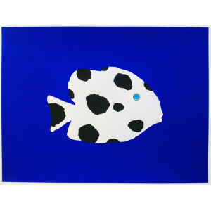 Dalmatian fish / Dalmatinske ribe