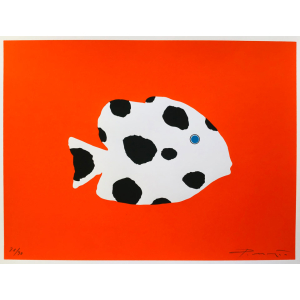 Dalmatian fish / Dalmatinska riba